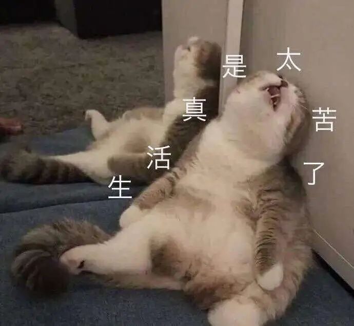 微信图片_20220610162255.jpg